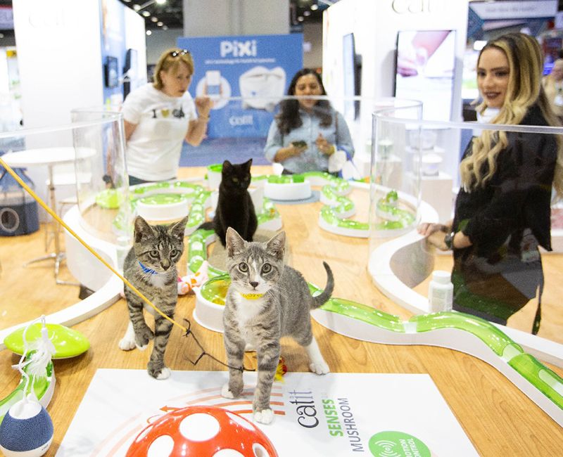 Find Exhibitors and Sessions Global Pet Expo 2023