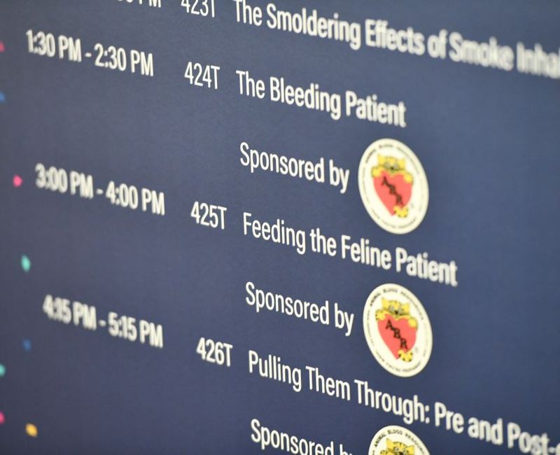 Find Sessions IVECCS 2025 Veterinary Emergency and Critical Care Society Annual Meeting