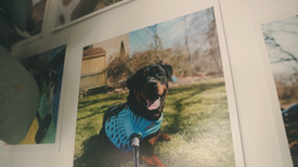 trim(Must Love Dogs (and 3D Printing))