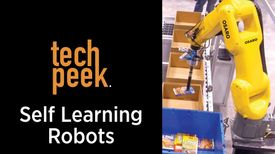 Self Learning Robots