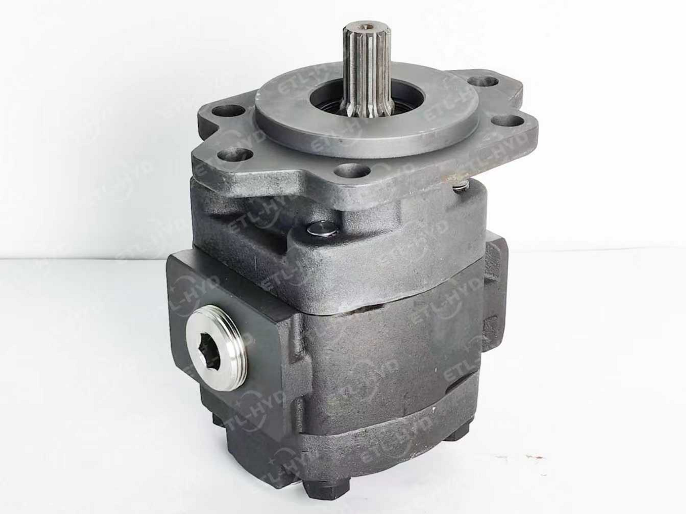 Parker Gear Pump P21