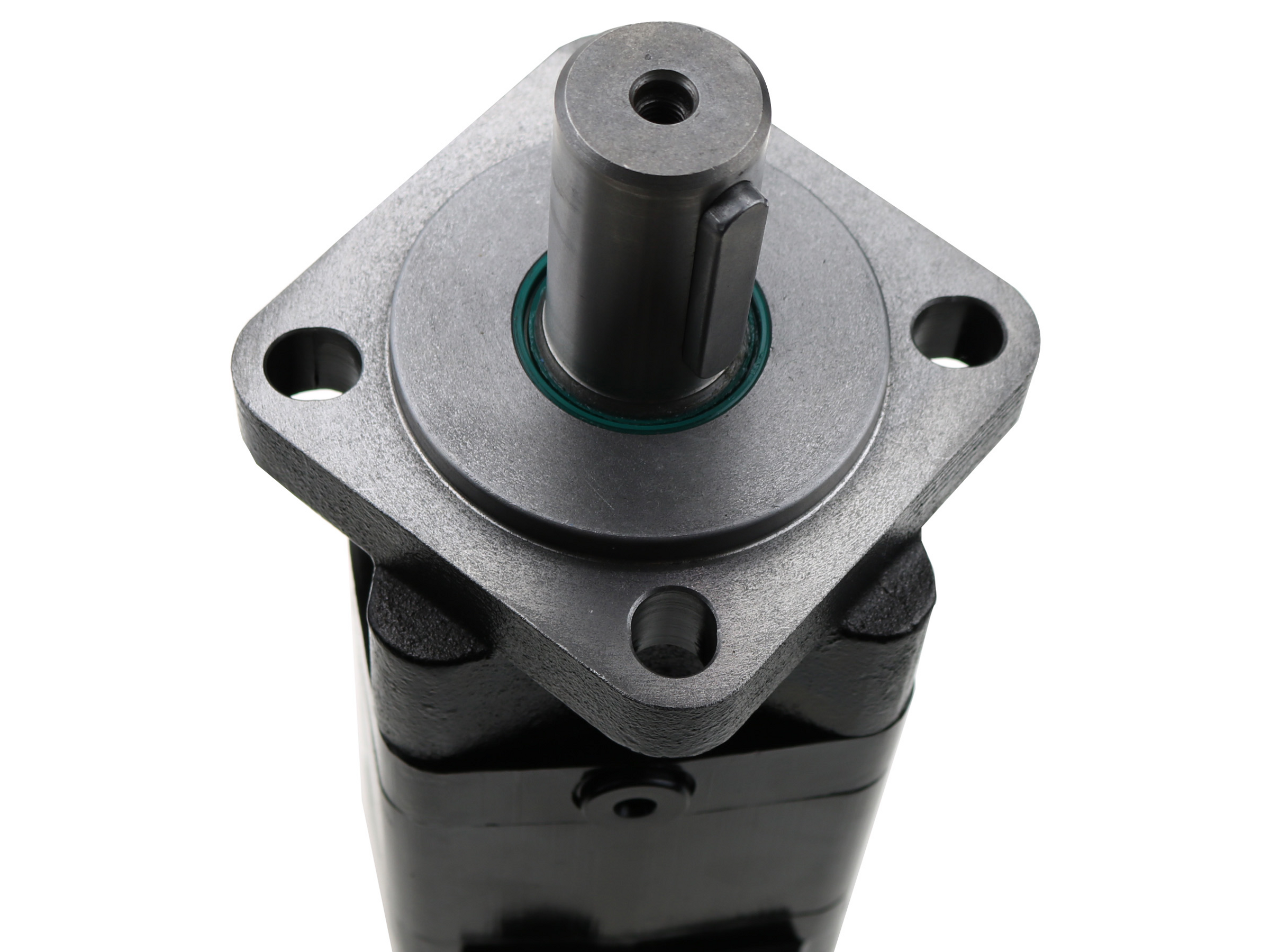 Hydraulic motor BMS