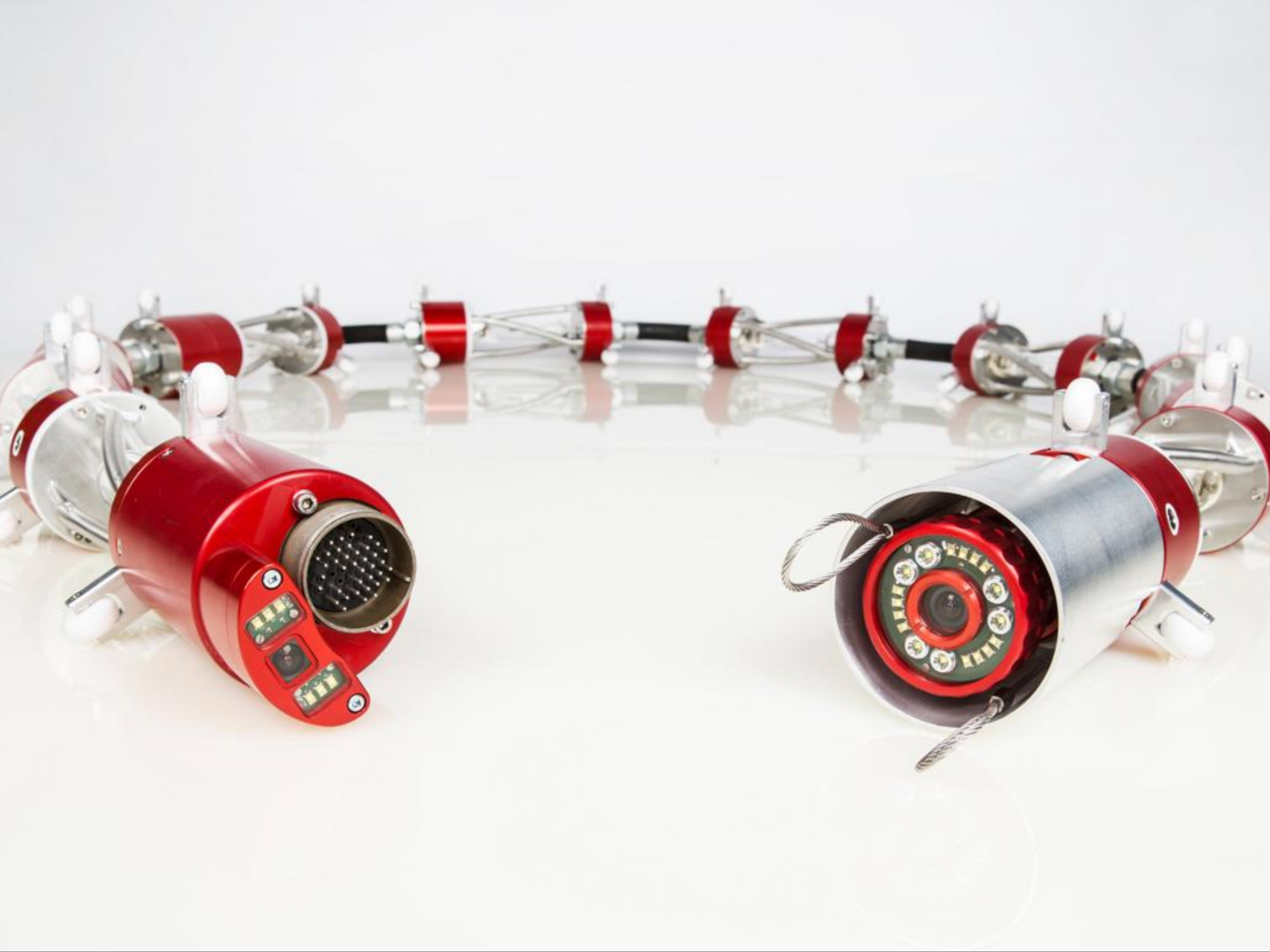 Light chain SK600