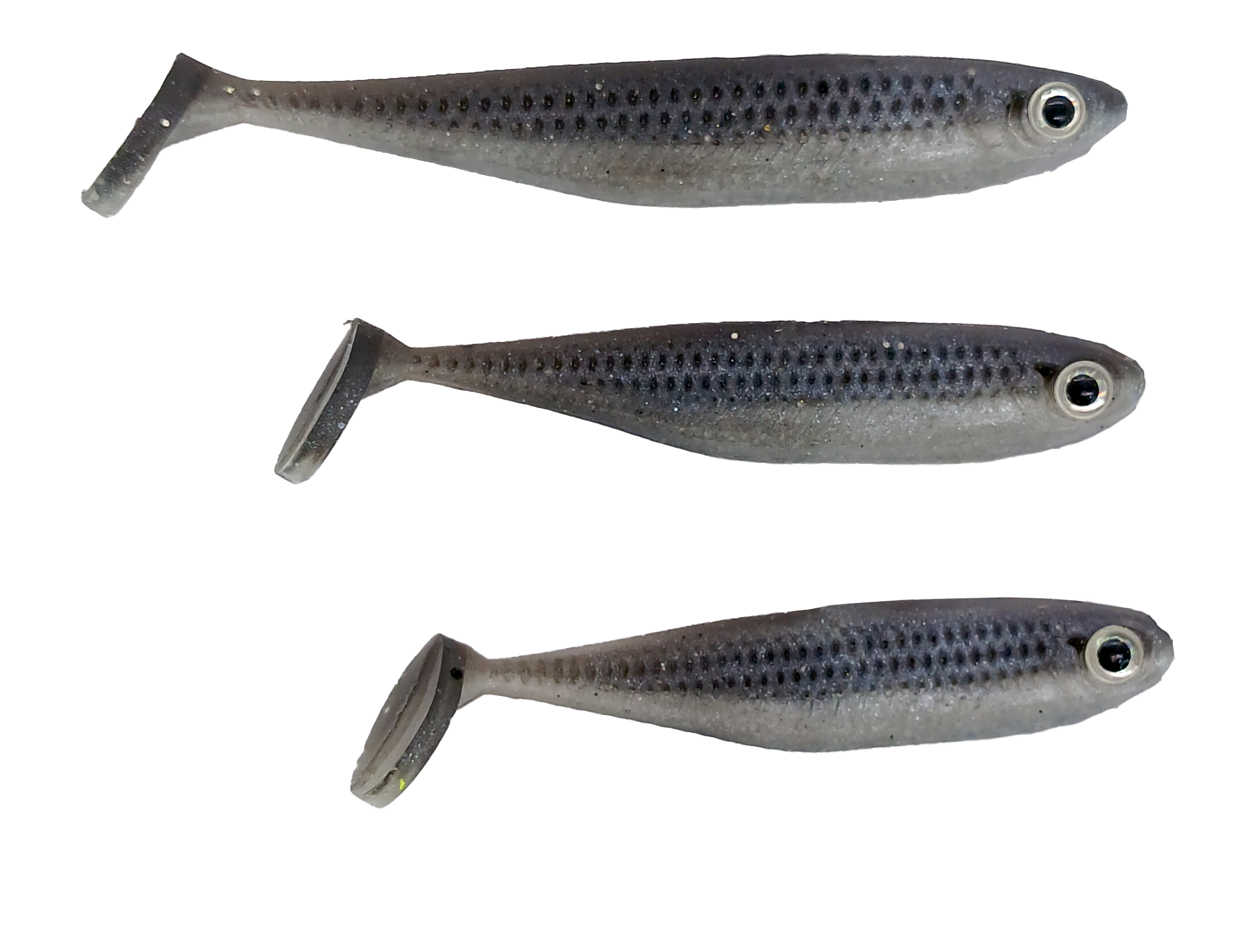 Foundation Minnow by FOOD CHAIN