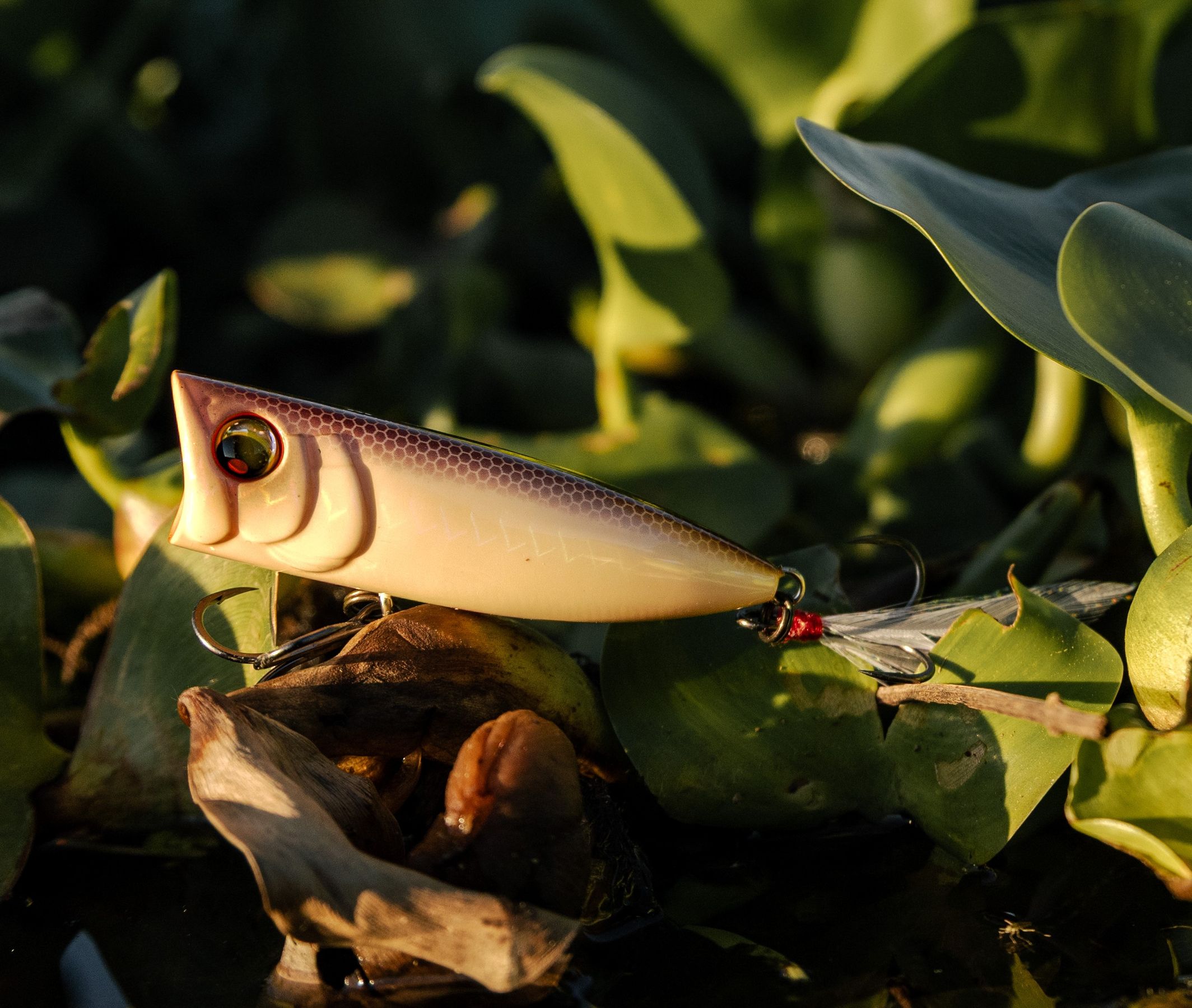 Yo-Zuri Pro Series Popper
