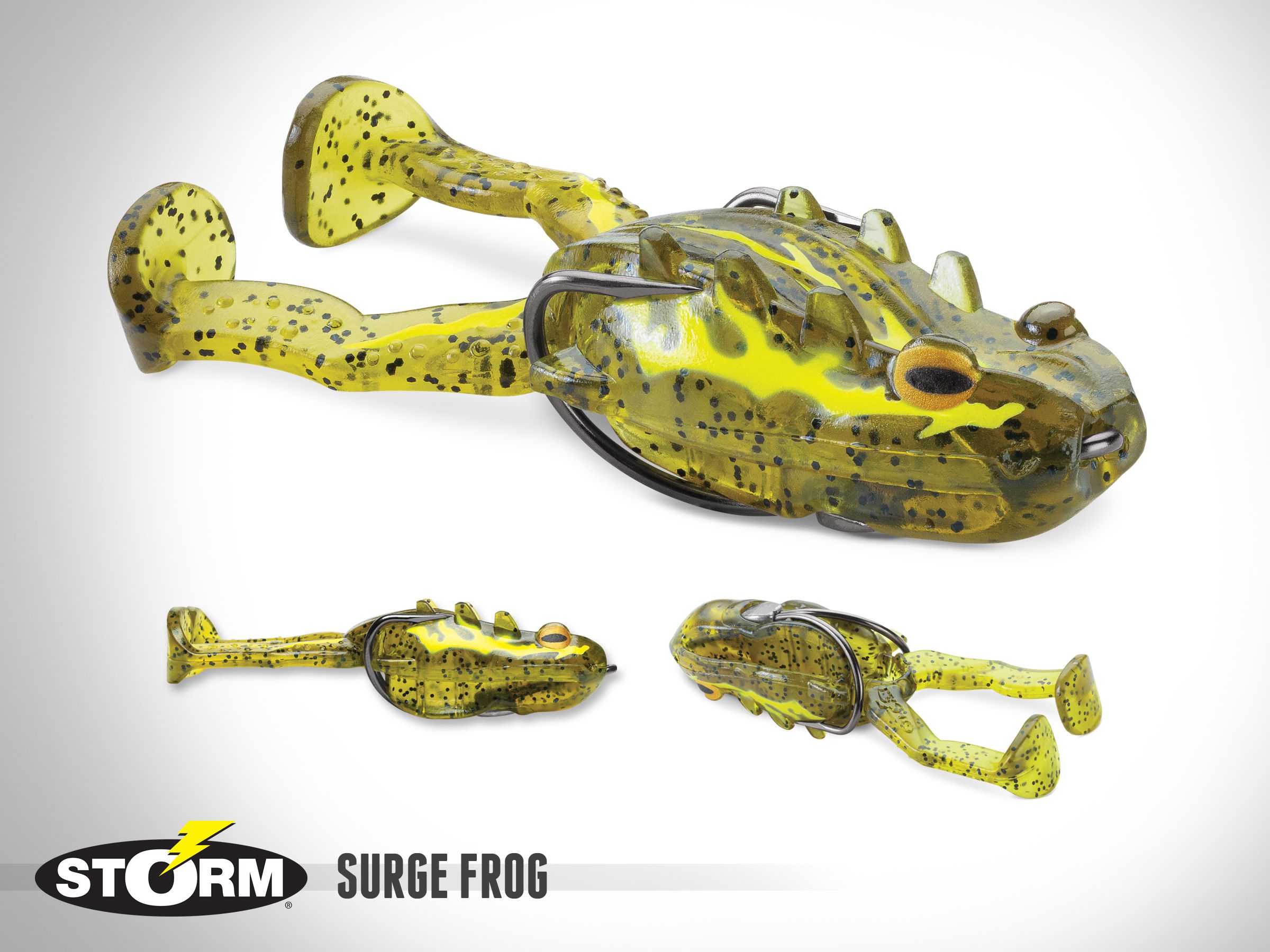 Storm Surge Frog