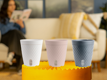 Sustainable Pottery - Designed By Costa Farms
