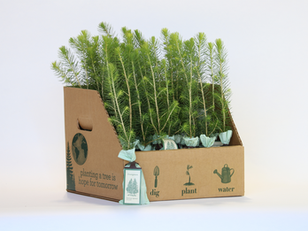 Plant Hope: Seedling Counter Display