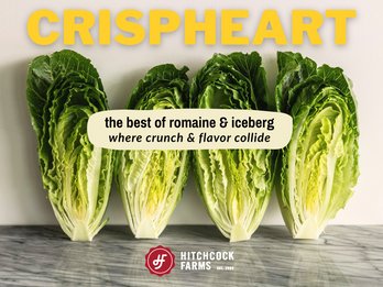 CrispHeart - Where Crunch & Flavor Collide