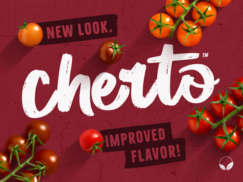 Cherto™ Cherry Tomatoes On-The-Vine