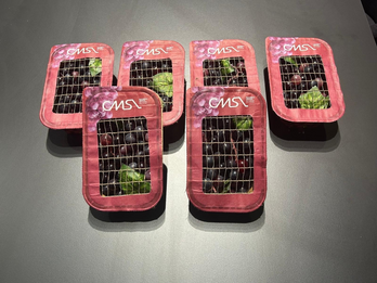 BIODEGRADABLE PLASTIC FREE TOP SEAL