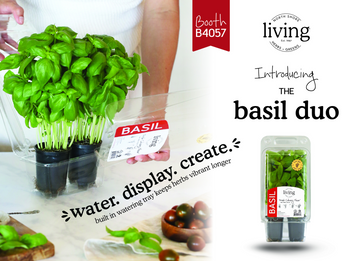 Introducing the Basil Duo