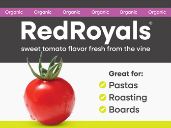 Organic RedRoyals®: Sweet tomato flavor fresh from the vine