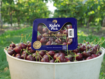 Kyle's Pick: The Ultra Premium Cherry Experience