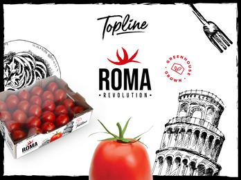 Roma Revolution: Your favorite cooking tomato