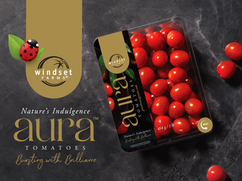 AURA™ Tomatoes