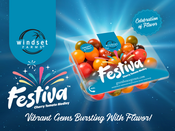 FESTIVA™ Cherry Tomato Medley