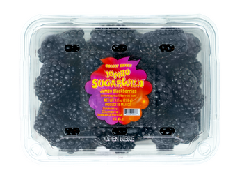 SugarWild™ Blackberries