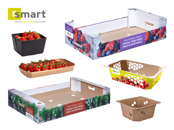 Smart Packaging Solutions for Fresh Produce