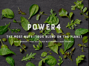 Power4 - The Most Nutritious Blend on the Planet