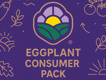 Eggplant Consumer Pack