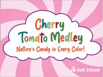 Cherry Tomato Medley
