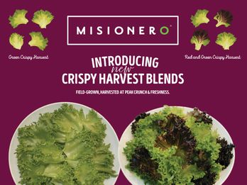 Introducing Crispy Harvest Blends