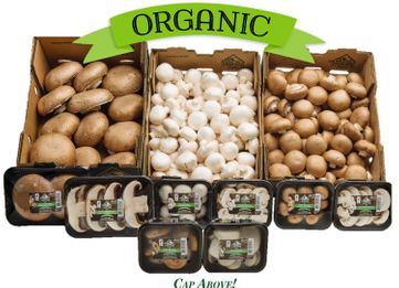California Grown Organic Mushrooms