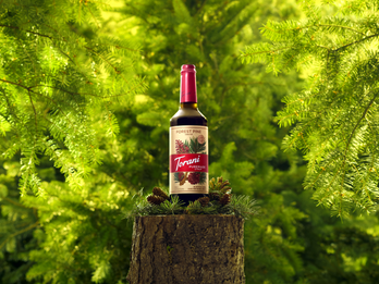 Torani Puremade Forest Pine Syrup