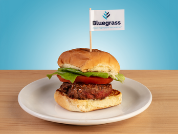 Blue Cheese Sliders