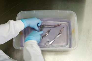 Reusable Medical Device Processing