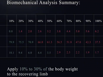 Illustrative Patient-Specific Optimal Weight-Bearing Protocol