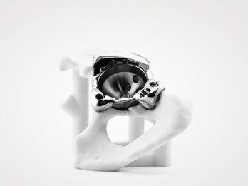 Custom Triflange