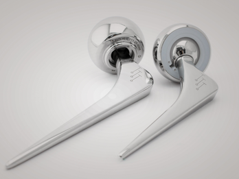 Evolve Stem
