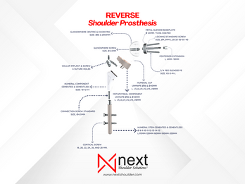 Reverse Shoulder Prosthesis
