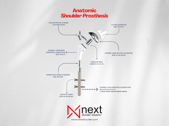 Anatomic/Total Shoulder Prosthesis