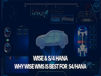 WISE & S4/HANA