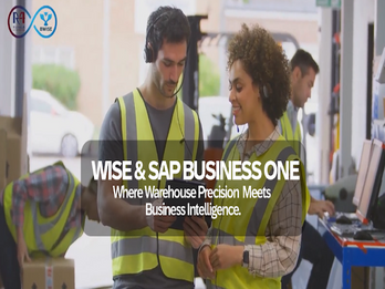SAP Business One & WISE Integration