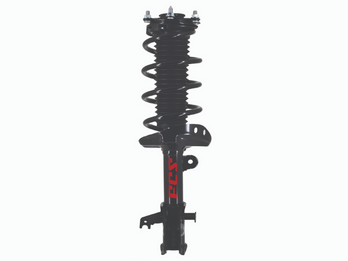 Complete Strut Assembly