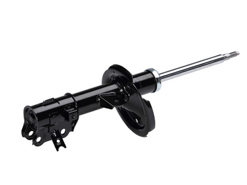 Strut Assembly