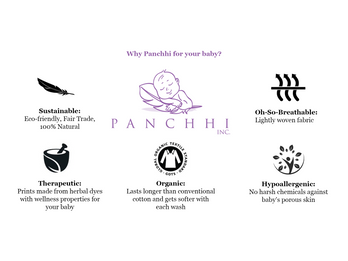 Why Panchhi?