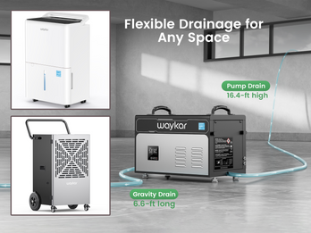 Top-Rated Dehumidifiers