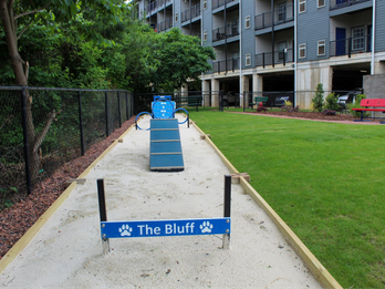 Canine Courtyard: Dog Park Equipment for Smaller Spaces