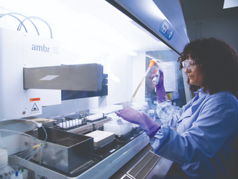 Fast, Stable & Scalable Cell Line Development DNA to GMP in 6Mth
