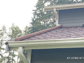 Rot Stopper downspout installed