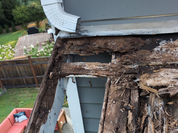 Damage caused by dumping water onto a lower roof deck