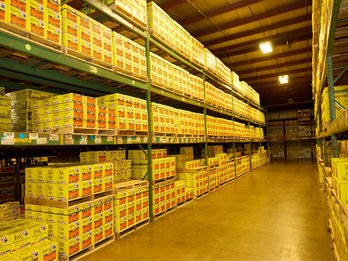 Maze Large Inventory