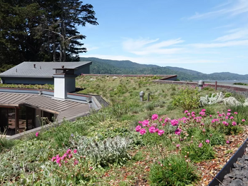 Wetsuit(R) 2 part Green Roof System