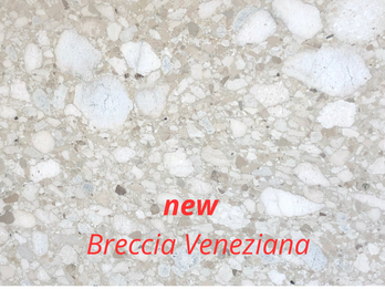 BRECCIA VENEZIANA