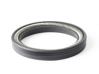 Spring Energized Seal